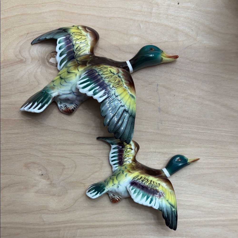 Colorful Duck Wall Decor Set